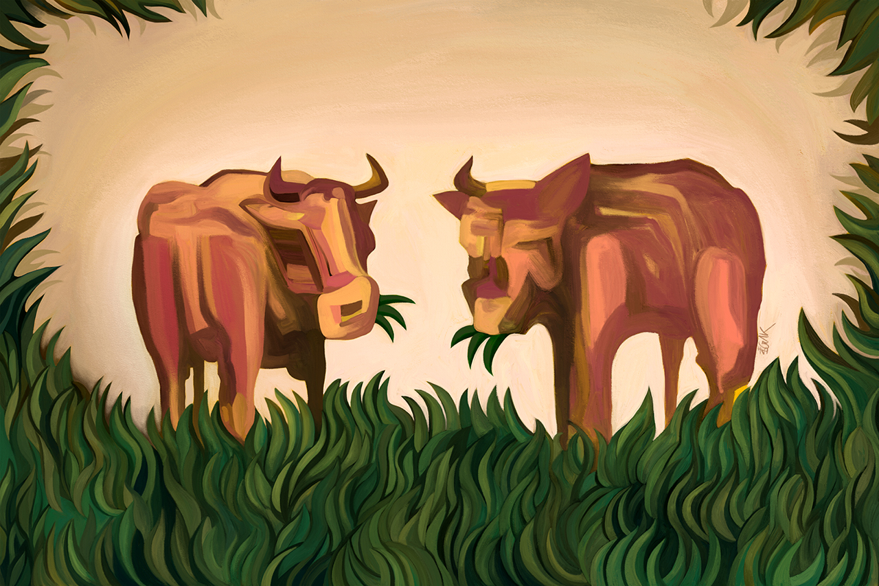 Two_cows